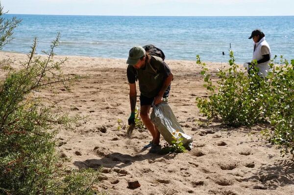 Мероприятие провели общественный фонд &quot;Евразия Кей Джи&quot; совместно с экоактивистом Андреем Панаевым, мэрия Чолпон-Аты, МП &quot;Тазалык&quot; и команда из 50 волонтеров - Sputnik Кыргызстан