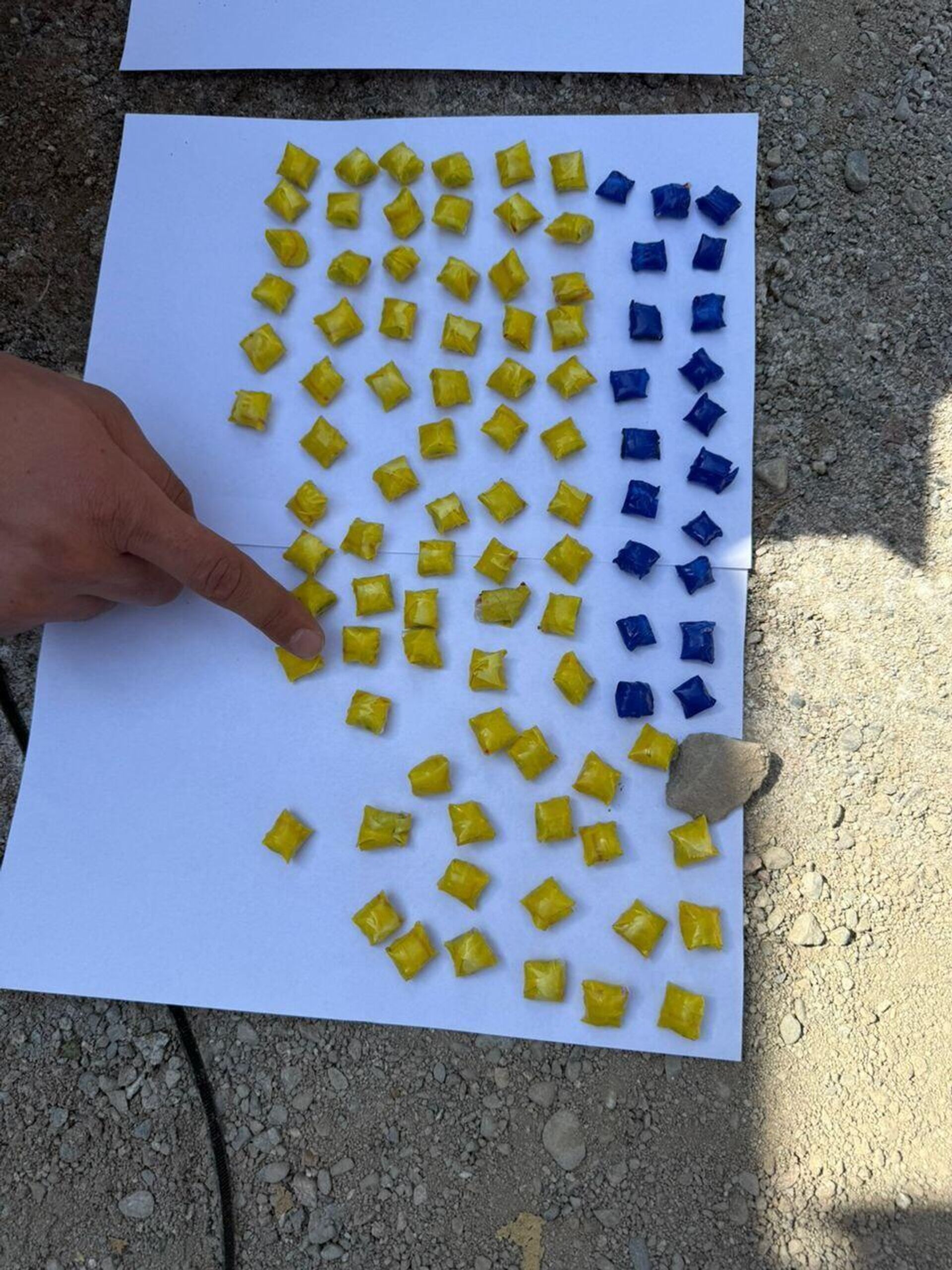 Задержание закладчики наркотиков в Бишкеке - Sputnik Кыргызстан, 1920, 24.09.2025