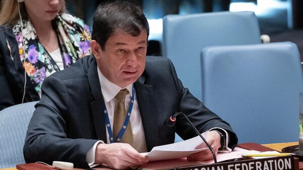 Россиянын БУУдагы өкүлүнүн биринчи орун басары Дмитрий Полянский  - Sputnik Кыргызстан