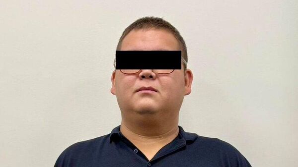 Задержание руководителя ОСОО ВИТУ-ВИИТ и АКААНА К.Н.К. - Sputnik Кыргызстан