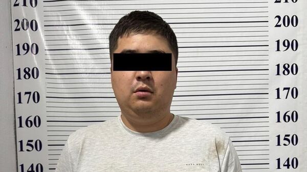 Сузакта УКМКнын кызматкеримин деп элден акча алып жүргөн киши кармалды - Sputnik Кыргызстан