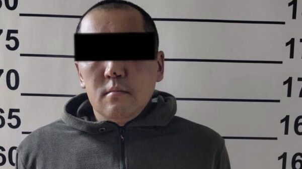 Задержание подозреваемого в убийстве и изнасиловании 17-летней Айсулуу Мукашовой - Sputnik Кыргызстан