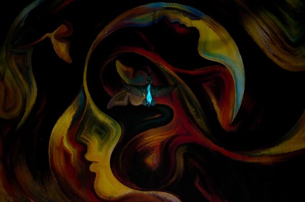 Первое место в номинации &quot;Творческие перспективы&quot; занял итальянский фотограф Филипп Эггер. Он назвал работу &quot;Обыкновенный зимородок&quot;. Фото сделано в местности Альседо атт. Альпы (Италия). Идея заключалась в том, чтобы запечатлеть зимородка, пролетающего над картиной. - Sputnik Кыргызстан