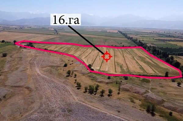 Государству возвращены земельные участки площадью 200 гектаров в Ысык-Атинском районе Чуйской области - Sputnik Кыргызстан