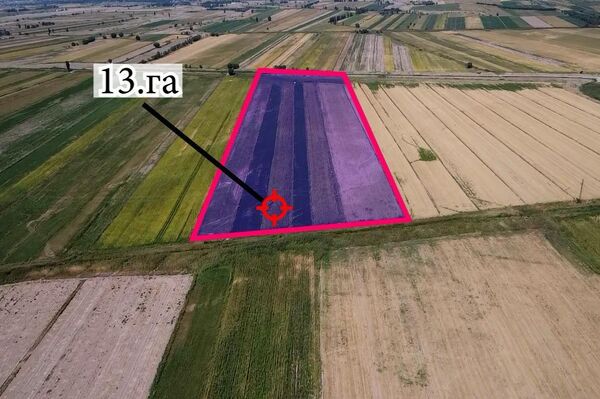 Установлено, что в 1992-1994 годах земли были незаконно выведены из муниципальной собственности и до настоящего времени возделывались местными жителями - Sputnik Кыргызстан