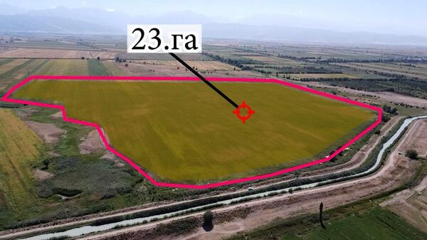 Возврат государству земель в Чуйской области стоимостью более 1 млрд сомов - Sputnik Кыргызстан
