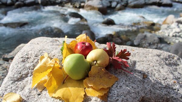 Кыргызстанда күз - Sputnik Кыргызстан