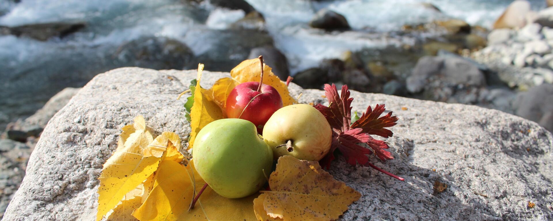 Кыргызстанда күз - Sputnik Кыргызстан, 1920, 05.10.2025