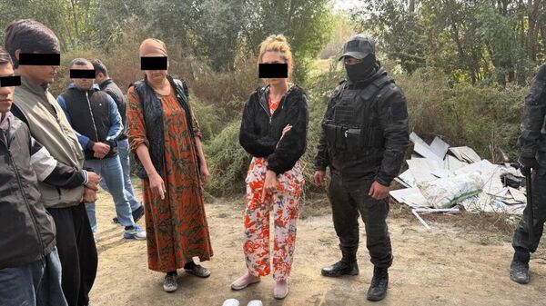 Крупный канал поставки афганских наркотиков перекрыт в Кыргызстане - Sputnik Кыргызстан