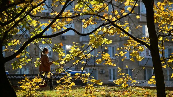 Күз - Sputnik Кыргызстан