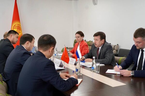 Посол России Сергей Вакунов встретился с министром культуры, информации и молодежной политики КР Мирбеком Мамбеталиевым - Sputnik Кыргызстан