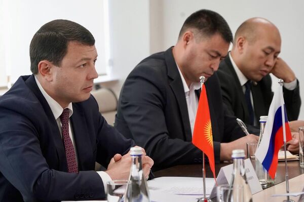 Состоялся обмен мнениями по актуальным аспектам гуманитарного сотрудничества двух стран - Sputnik Кыргызстан