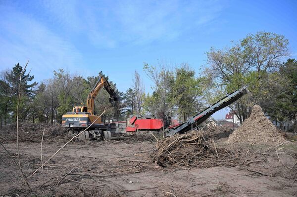 Для комплексной реконструкции Ботанического сада имени Э. Гареева в Бишкеке потребуется около 340 миллионов сомов - Sputnik Кыргызстан