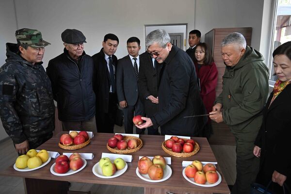 Сотрудники и руководство сада представили главе кабмина подробную информацию о текущих проблемах, проделанной работе и мерах, необходимых для сохранения, развития и модернизации этой территории - Sputnik Кыргызстан