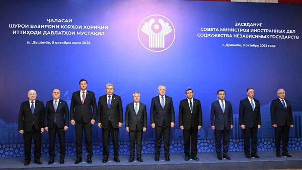 Кулубаев КМШ өлкөлөрүнүн ТИМ башчыларынын жыйынына катышты - Sputnik Кыргызстан