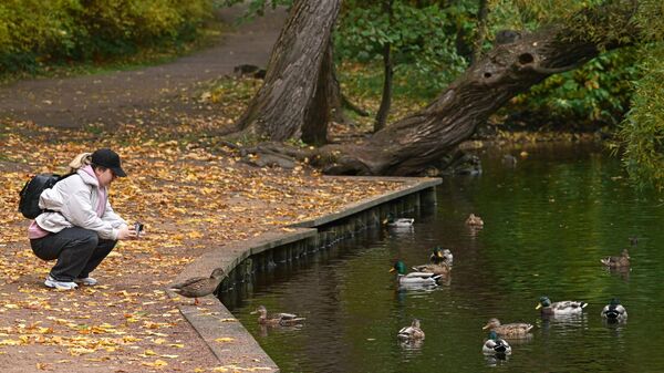 Осень в Санкт-Петербурге - Sputnik Кыргызстан