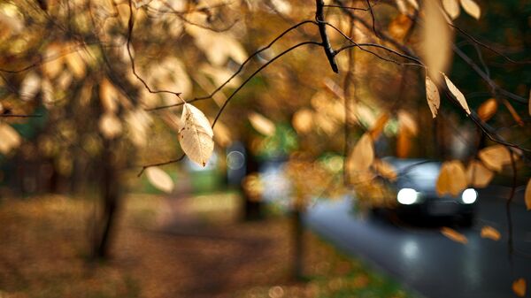 Күз - Sputnik Кыргызстан