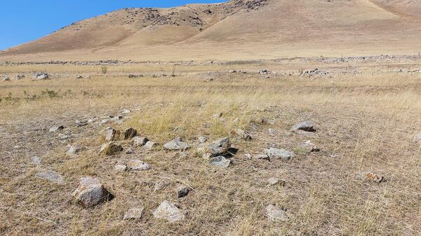 Археологи Большого Алтая проведут раскопки в Кыргызстане  - Sputnik Кыргызстан