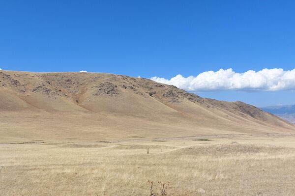 В организации этого значимого мероприятия сотрудничают специалисты Кыргызского национального университета им. Ж. Баласагына, в числе которых кандидаты исторических наук Темирлан Чаргынов и Орозбек Солтобаев и представители НОЦ алтаистики и тюркологии &quot;Большой Алтай&quot; Алтайского госуниверситета Алексей Тишкин, Вадим Горбунов и Сергей Бондаренко. В работе экспедиции примут участие студенты и аспиранты КНУ. - Sputnik Кыргызстан