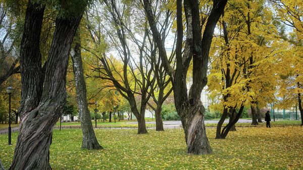 Парктагы күз. Архив - Sputnik Кыргызстан