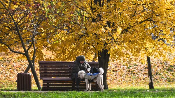 Мужчина с собакой в парке - Sputnik Кыргызстан