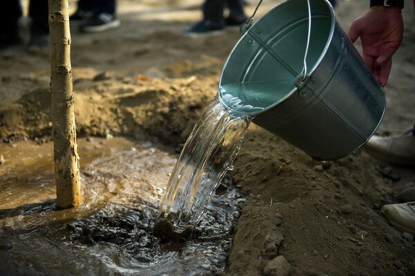 Джунушалиев призвал горожан бережно относиться к зеленым насаждениям - Sputnik Кыргызстан