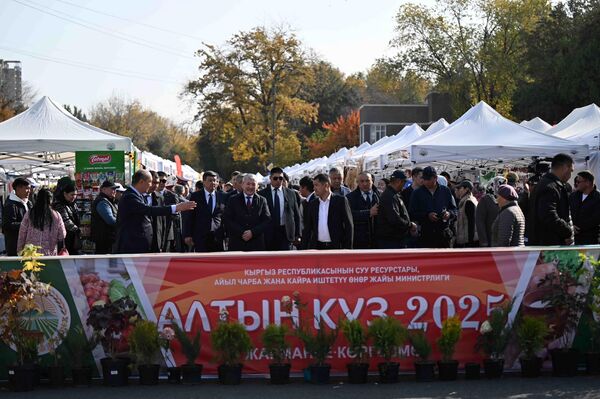 урдакун Усубалиев атындагы аянтта өтүп жаткан "Алтын күз" айыл чарба азыктарынын жарманкеси өтүп жатат урдакун Усубалиев атындагы аянтта өтүп жаткан "Алтын күз" айыл чарба азыктарынын жарманкеси өтүп жатат - Sputnik Кыргызстан