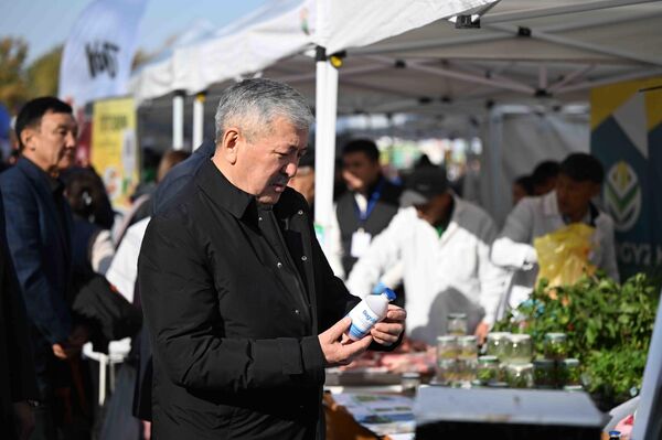 Өкмөт башчы Адылбек Касымалиев "Алтын күз" жарманкесинде Өкмөт башчы Адылбек Касымалиев "Алтын күз" жарманкесинде - Sputnik Кыргызстан