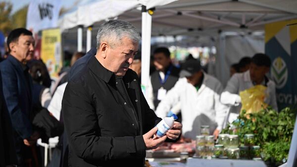Сельскохозяйственная ярмарка Алтын күз в Бишкеке - Sputnik Кыргызстан