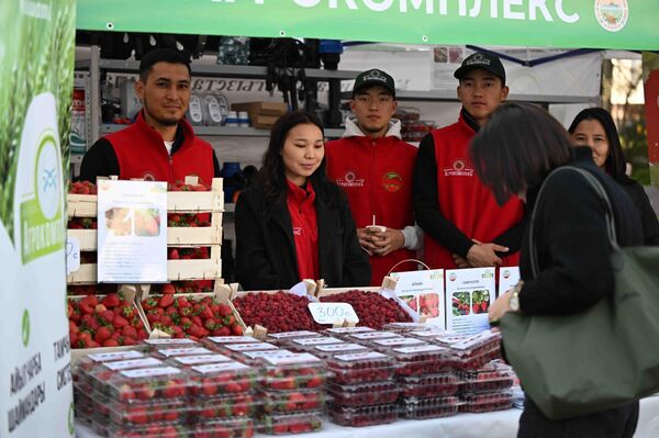 Продукты здесь реализуются по доступным ценам - Sputnik Кыргызстан