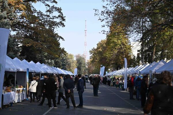 Касымалиев подчеркнул, что интерес зарубежных стран к экологической продукции, производящейся в Кыргызстане, растет и экспорт увеличивается - Sputnik Кыргызстан