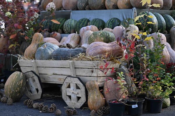 В рамках ярмарки предприниматели, фермеры, земледельцы, переработчики, агротехники и крупные предприятия налаживают связи и заключают соглашения о сотрудничестве - Sputnik Кыргызстан