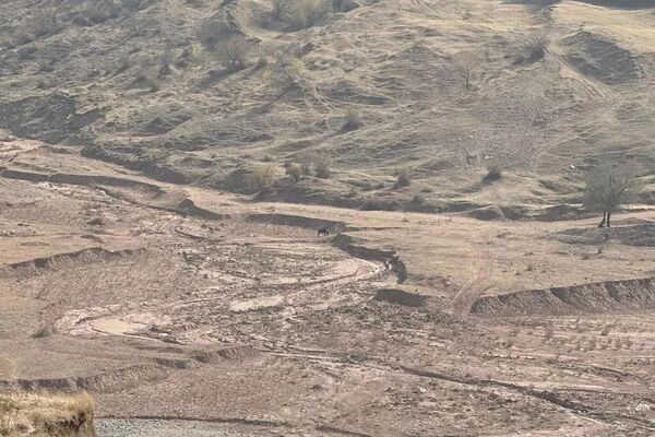 Анын алкагында алдын ала тандалган, сел көп жүргөн тилкелерге бак-дарак отургузулуп, тоо этектери бекемделип, деградация болгон жайыттар калыбына келтирилет - Sputnik Кыргызстан