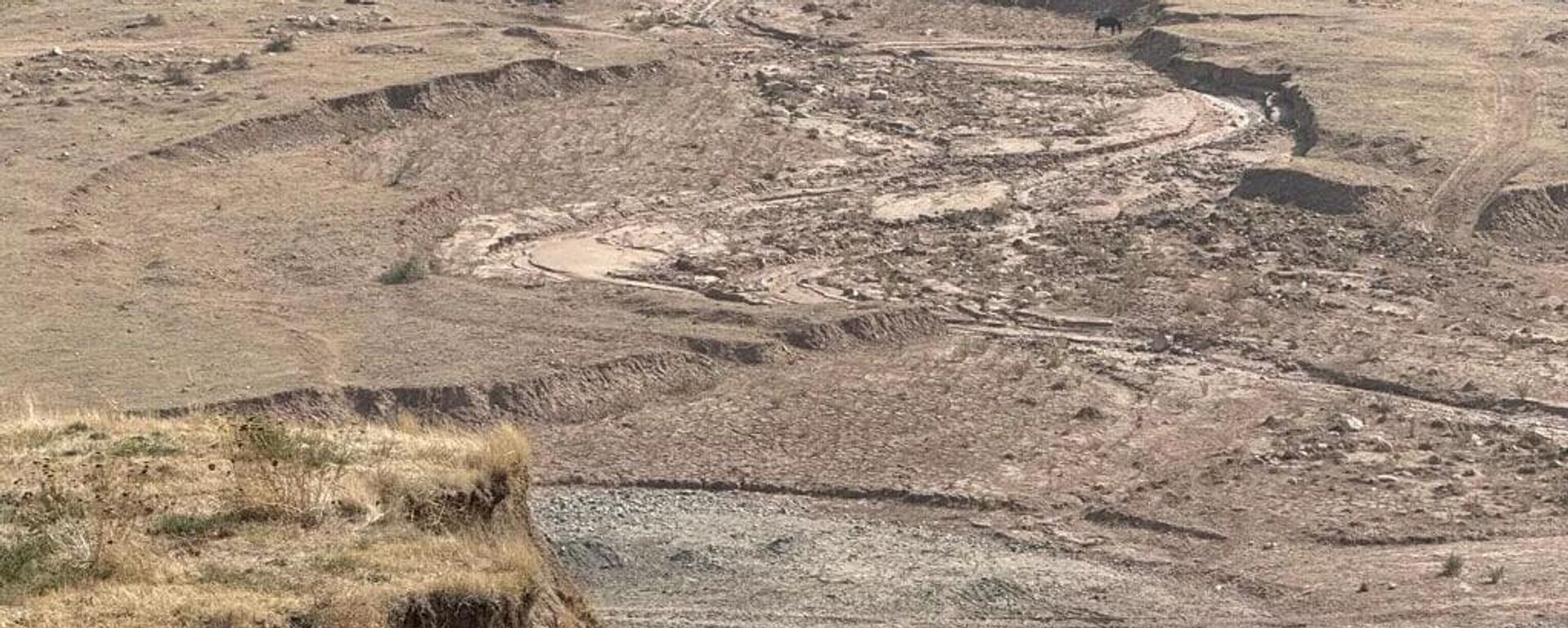 Жалал-Абадда селди алдын алуу үчүн токой зоналары кеңейтилүүдө - Sputnik Кыргызстан, 1920, 21.10.2025