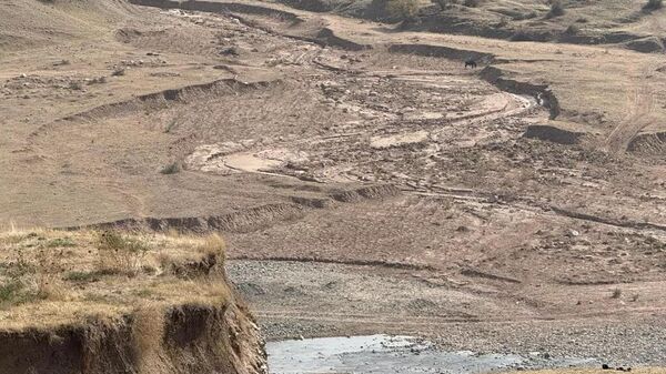 Жалал-Абадда селди алдын алуу үчүн токой зоналары кеңейтилүүдө - Sputnik Кыргызстан