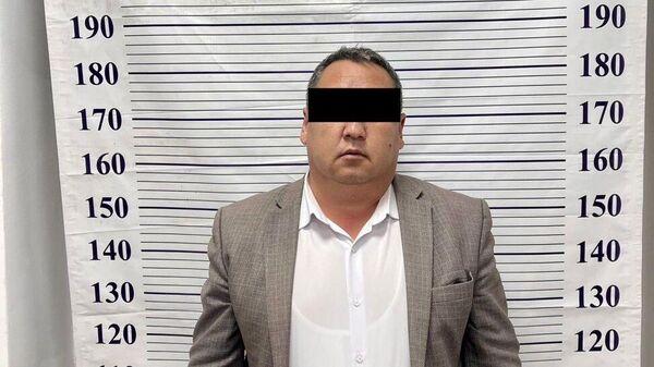 Манас шаарында университет мугалими 50дөн ашык адамды алдаган деп кармалды - Sputnik Кыргызстан