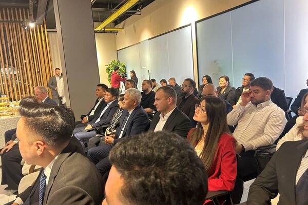 Это первая классическая программа MBA (базовый формат обучения управлению бизнесом) в Центральноазиатском регионе, адаптированная к специфике рынков СНГ - Sputnik Кыргызстан