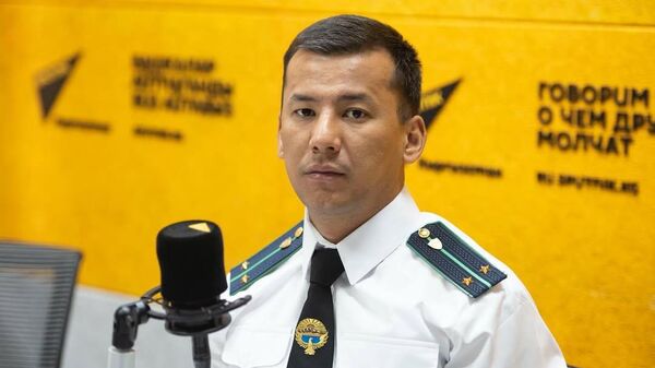 Глава Муниципальной инспекции Мирлан Таалайбеков - Sputnik Кыргызстан