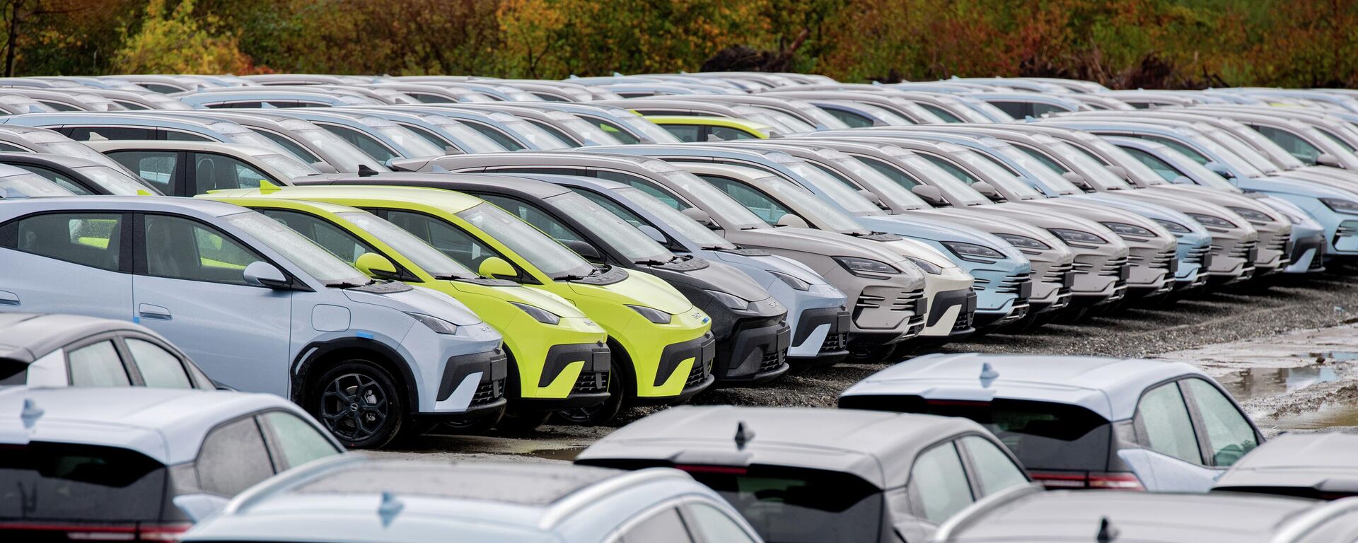 BYD электромобилдери - Sputnik Кыргызстан, 1920, 27.10.2025