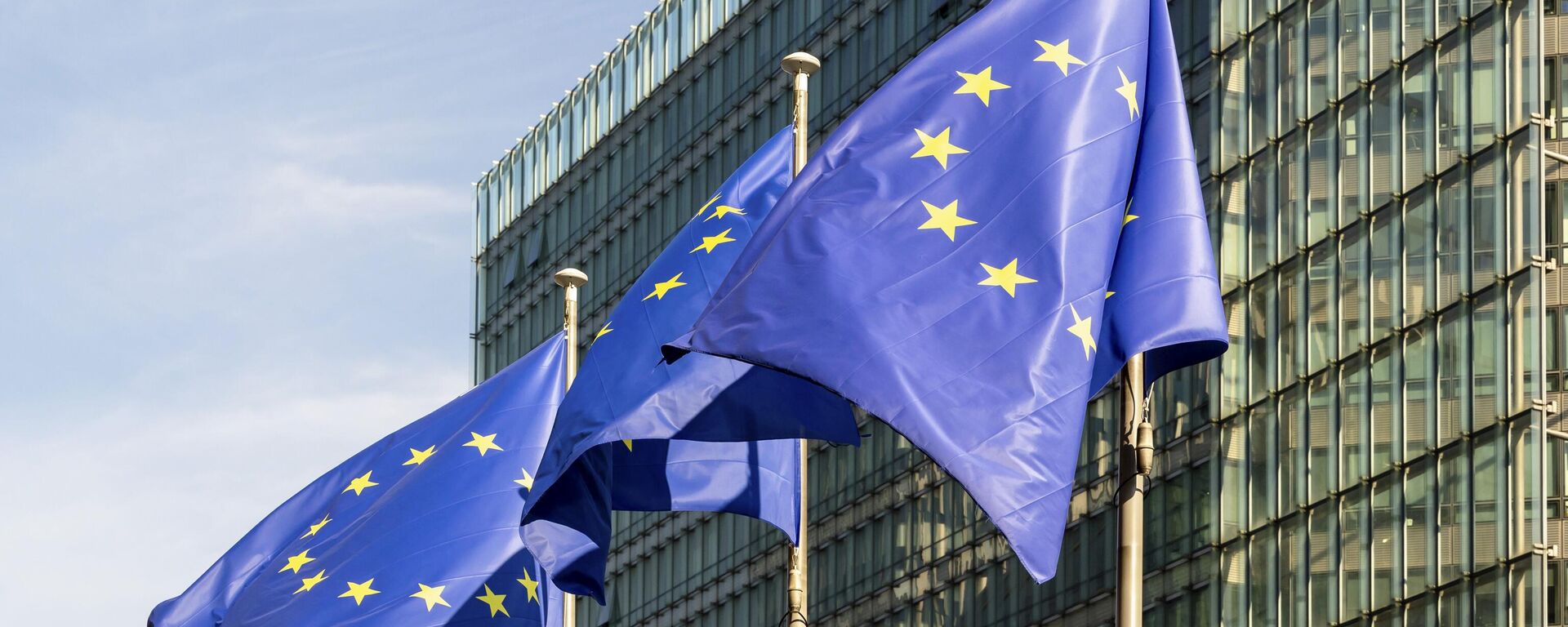 Европа Биримдигинин желектери - Sputnik Кыргызстан, 1920, 28.10.2025