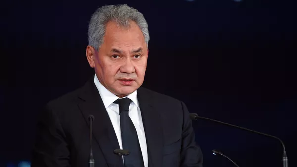 Секретарь Совета безопасности РФ Сергей Шойгу  - Sputnik Кыргызстан