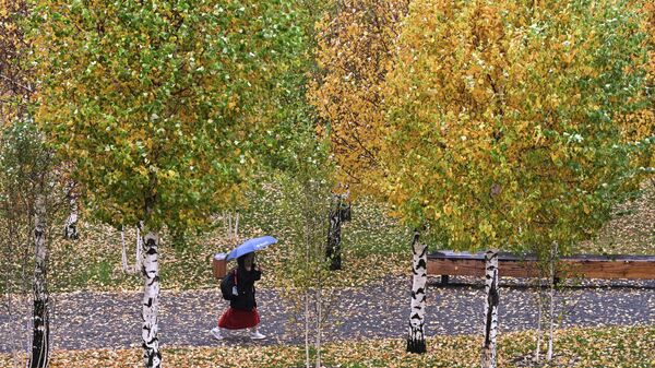 Жамгыр жаап жатканда сейил бакта бара жаткан аял - Sputnik Кыргызстан