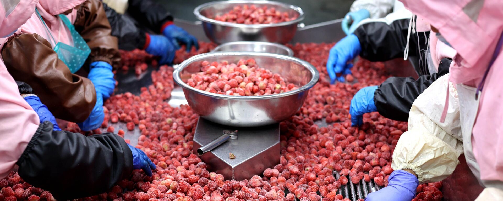 Тоңдурулган жемиштерди өндүрүүчү жайдагы жумушчулар. Архивдик - Sputnik Кыргызстан, 1920, 29.10.2025