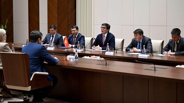 Байсалов Россиянын маданият министри менен кызматташууну талкуулады - Sputnik Кыргызстан