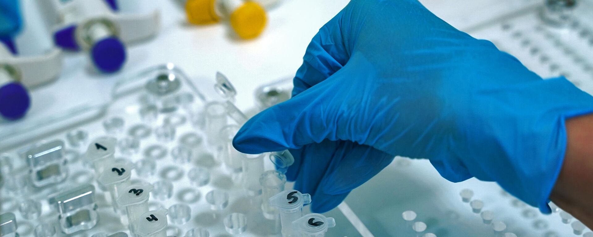 ДНК материалдарды изилдөө. Архив - Sputnik Кыргызстан, 1920, 31.10.2025