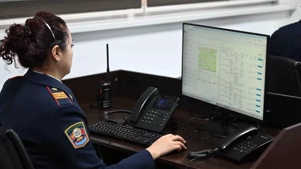 Иллюстративдик сүрөт - Sputnik Кыргызстан