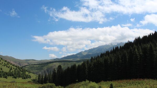 Национальный природный парк Каракол - Sputnik Кыргызстан