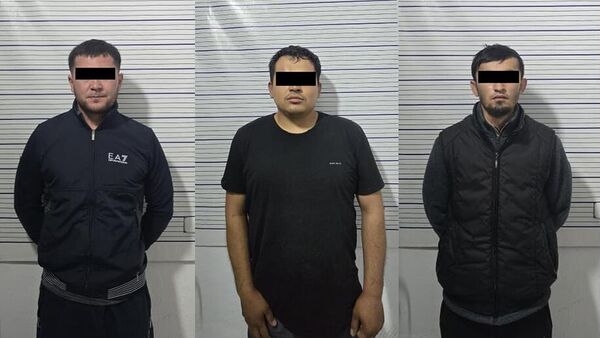 Задержание членов ОПГ в Джалал-Абадской области - Sputnik Кыргызстан