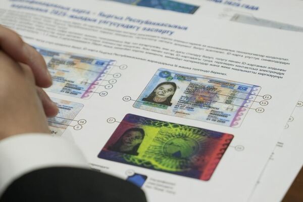 Документти алмаштыруу ыктыярдуу негизде жүргүзүлөт - Sputnik Кыргызстан