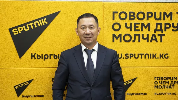 Депозиттерди коргоо боюнча агенттиктин аткаруучу директору Кадырбек Букуев  - Sputnik Кыргызстан
